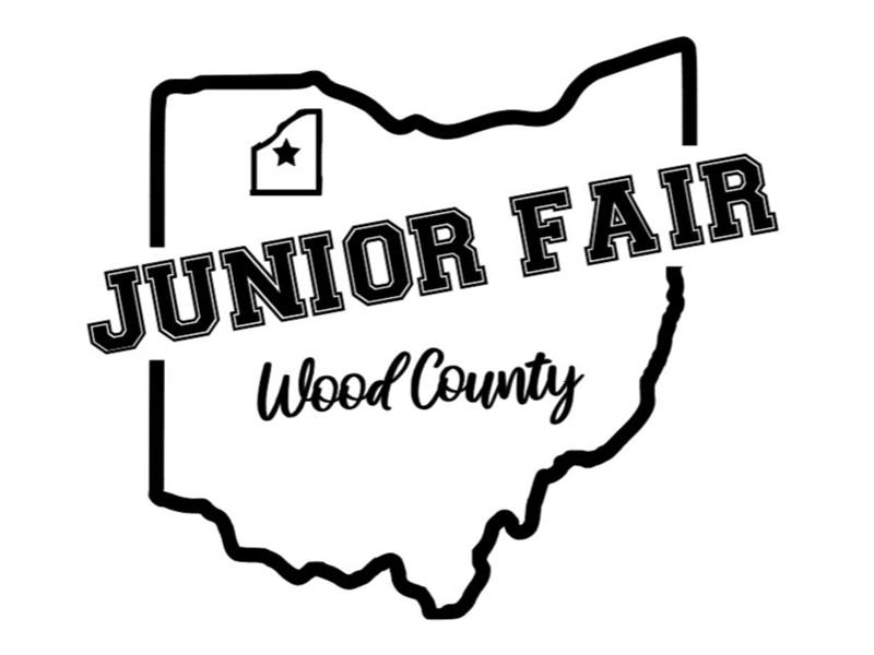 Logo for 2025 Wood County Junior Fair