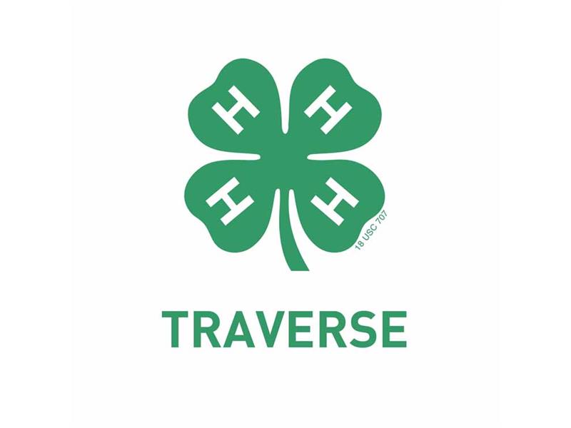 Logo for 2025 Traverse County Fair