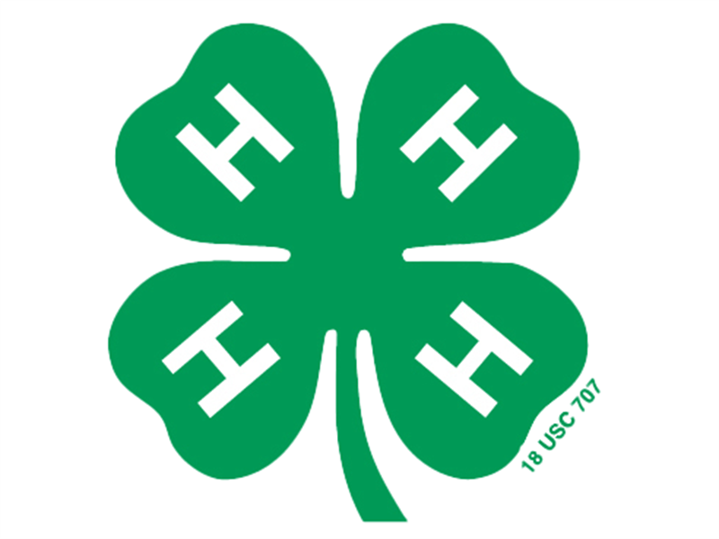 Logo for 2025 Lincoln County 4-H Achievement Days