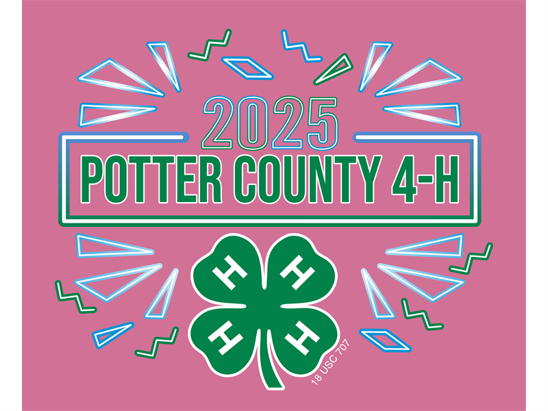 Logo for 2025 Potter County Fair